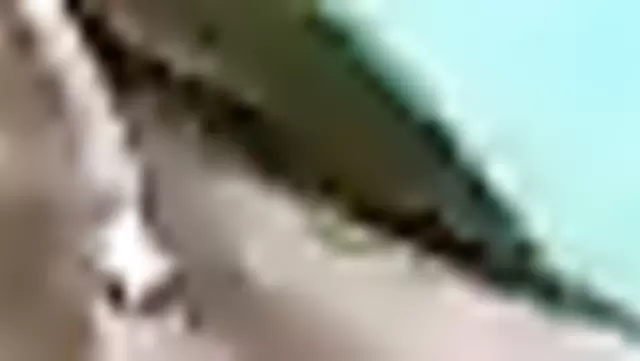Güzel Kırgız kız, kocasının aletini yalıyor.